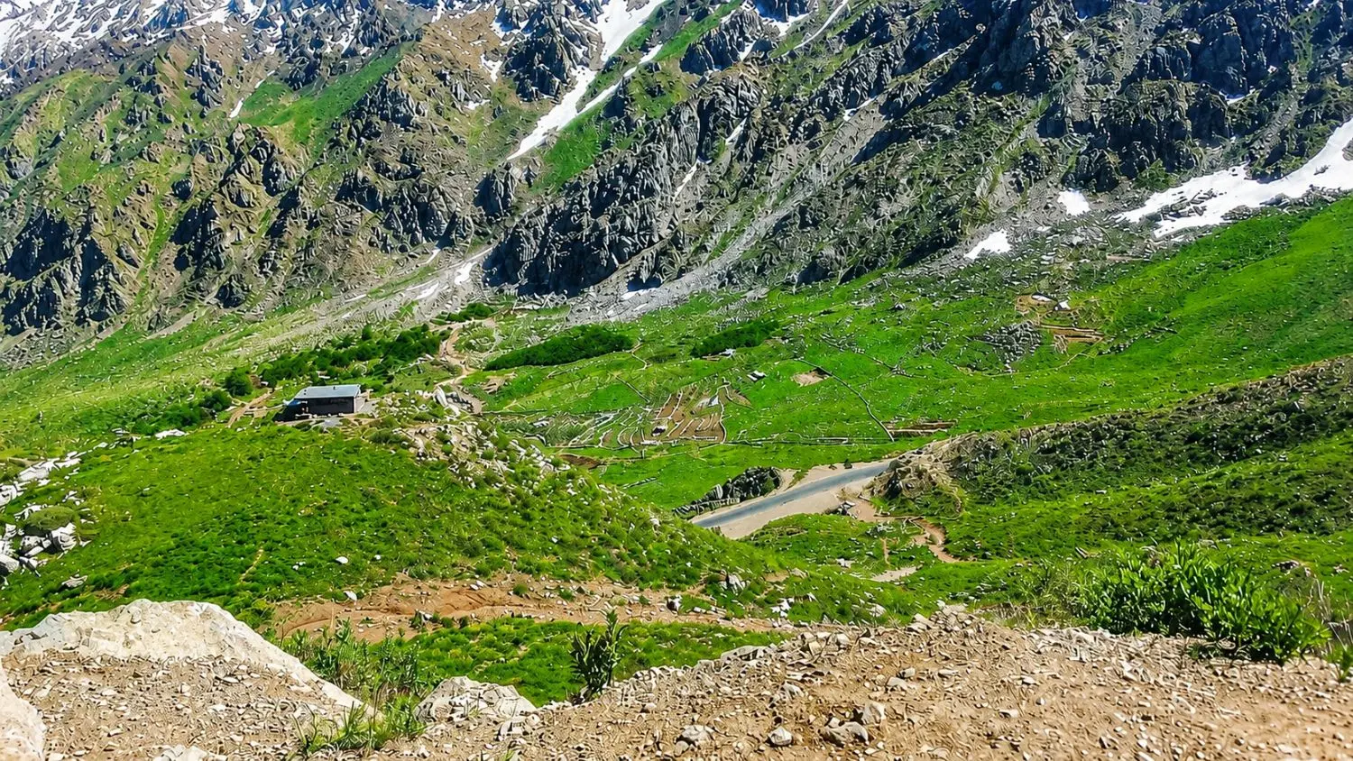 دامداری اجاره داده میشود