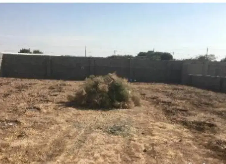 سه هراز متر زمین دیوار کشی شده