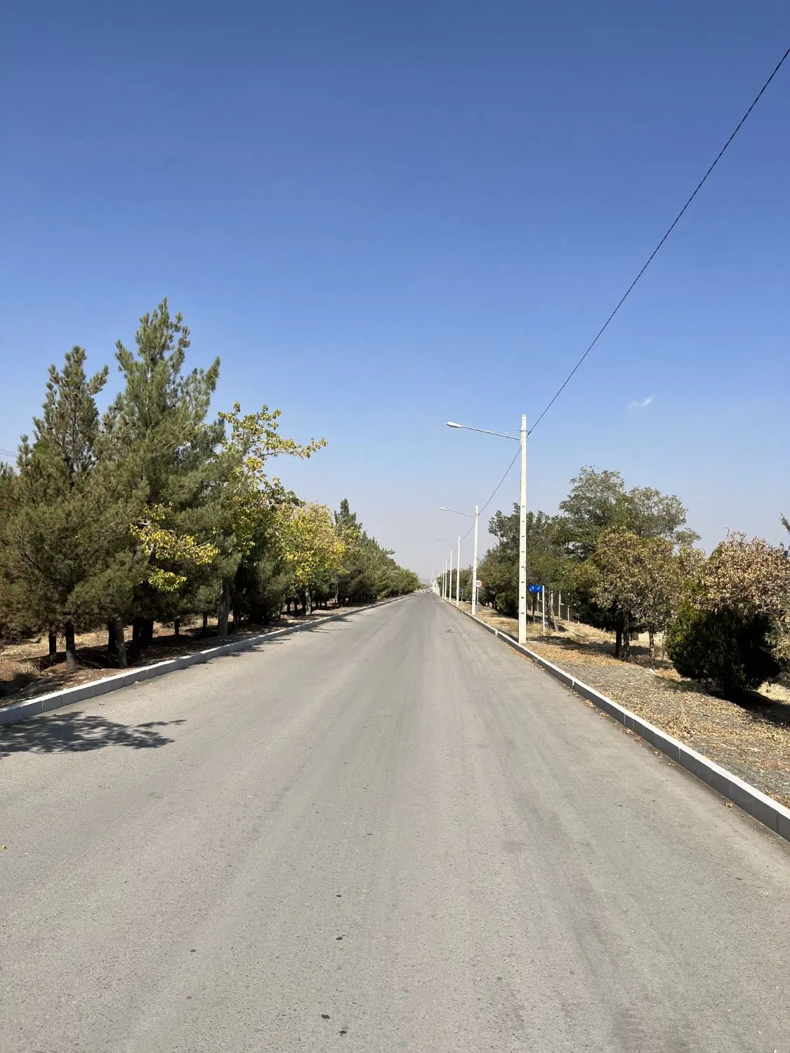 (زمین کوهدشت شاندیز امام رضا ۱۸)