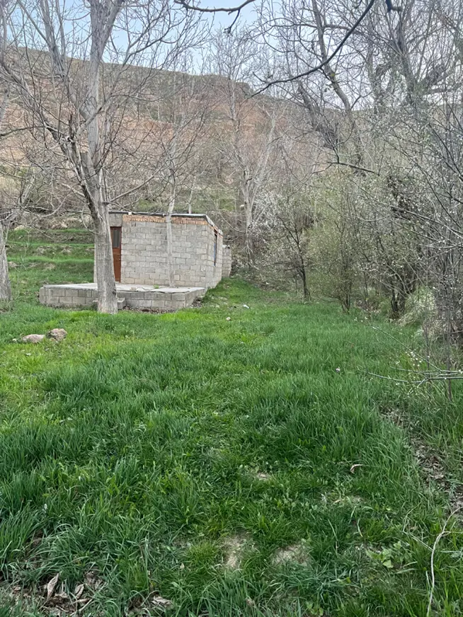 باغ گردو کله دشت