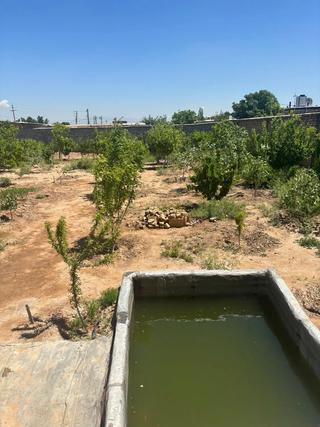 باغ ویلا
