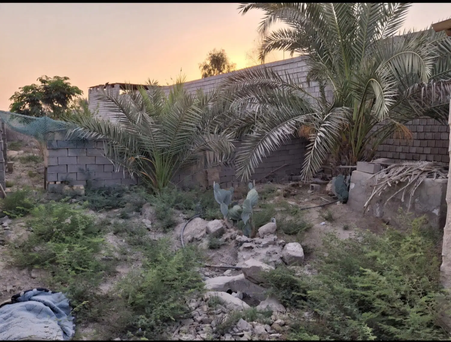 خانه باغ دهملا بزرگ