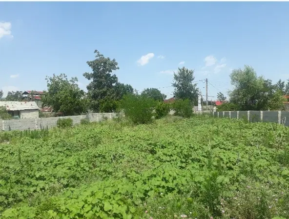 زمین مسکونی