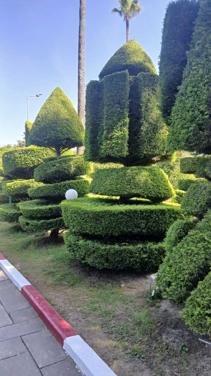باغ متراژ پائین در شهمیرزاد