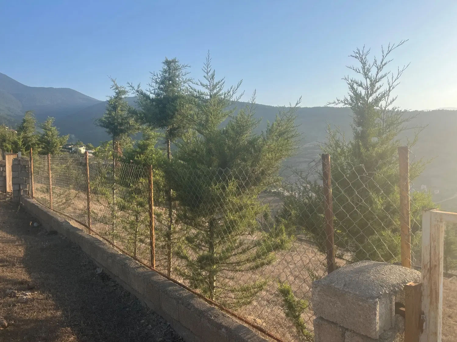فروش زمین در روستای نیرس بسطام