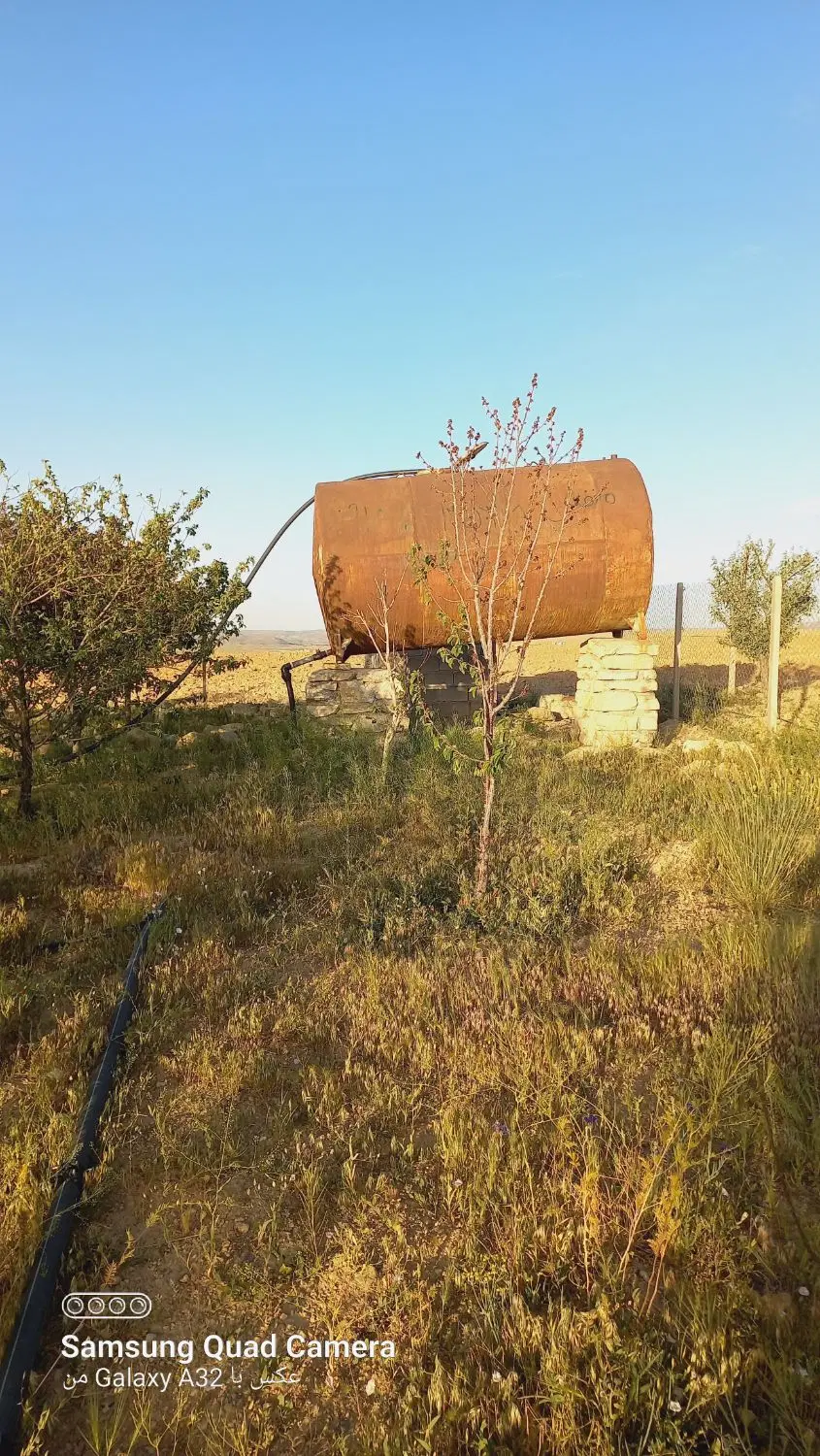 باغ یکانه