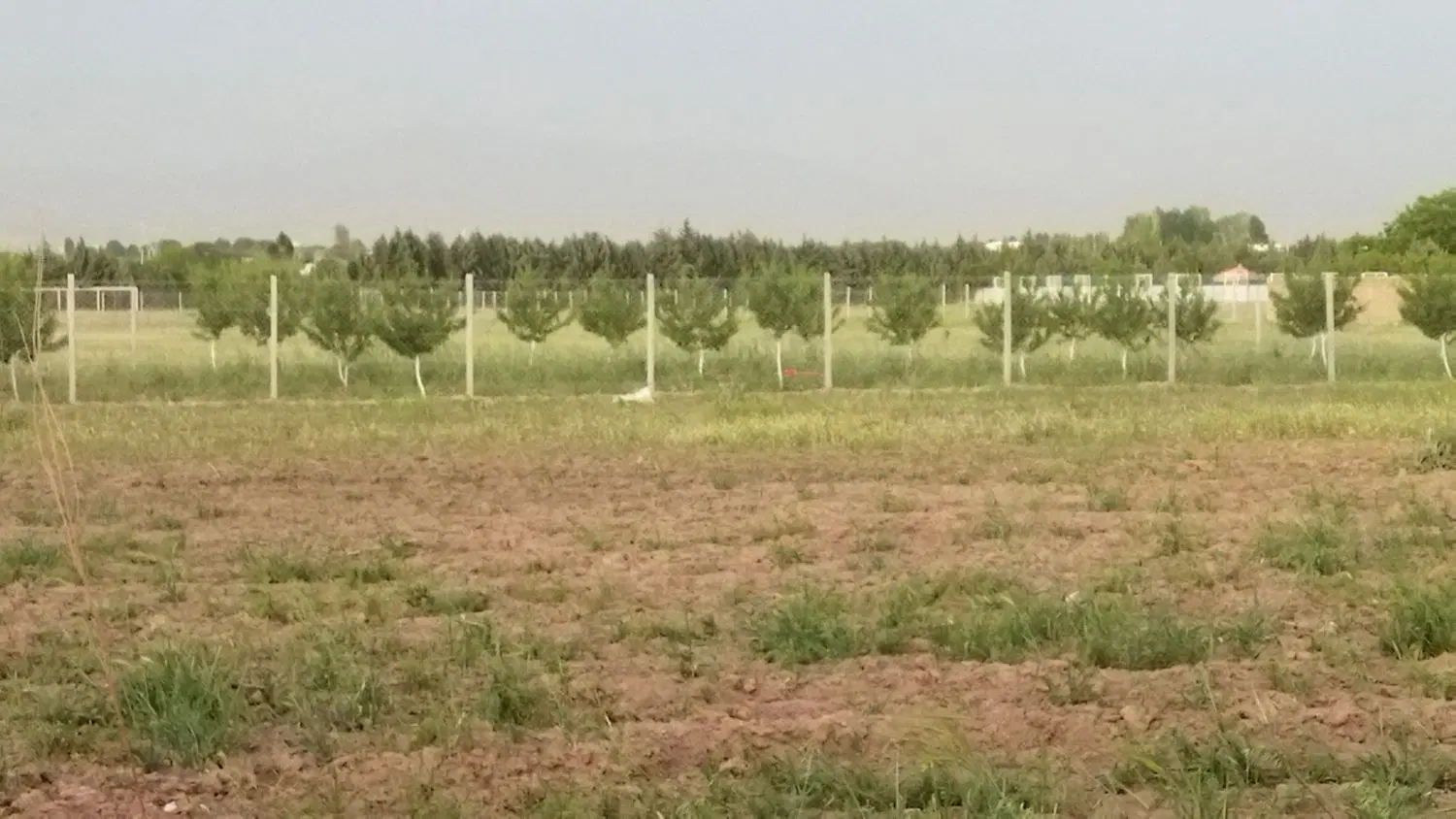 زمین با موقعیت عالی