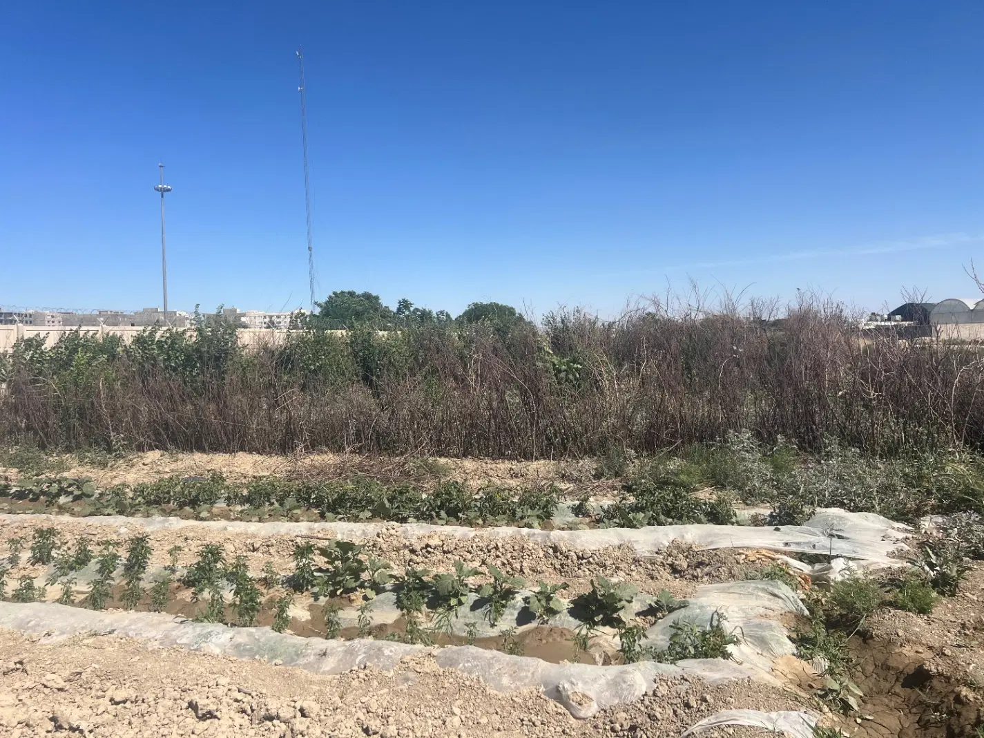 ۳۷۰متر باغچه