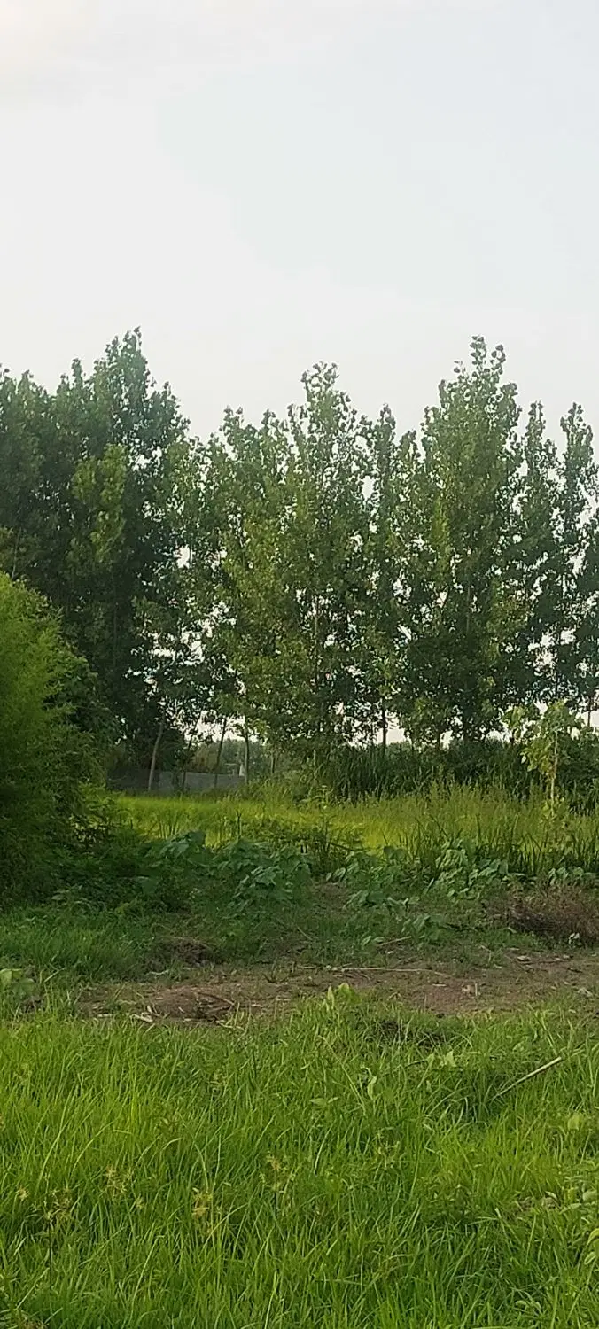 قطعه زمینی درروستا