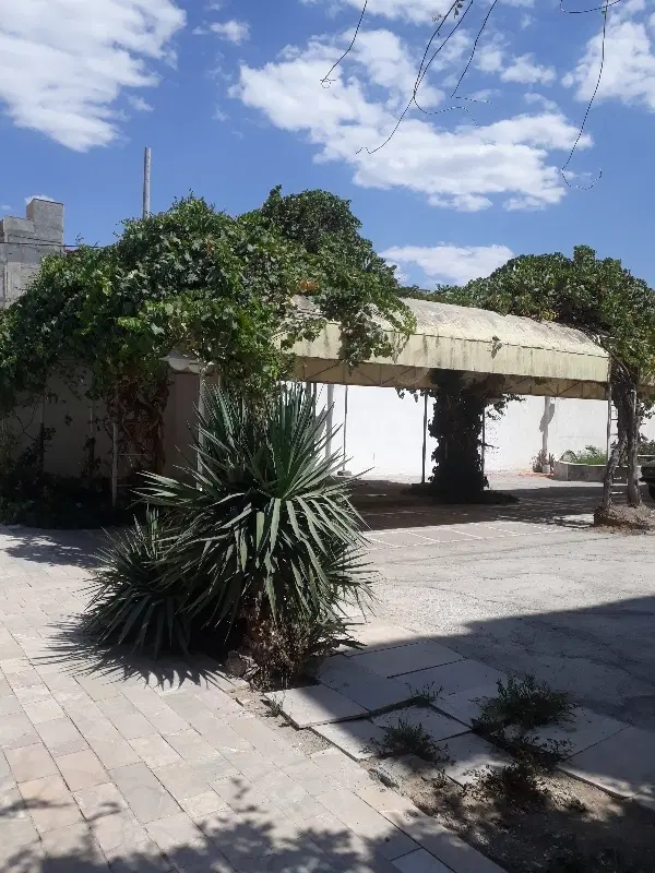 باغ اجاره ای