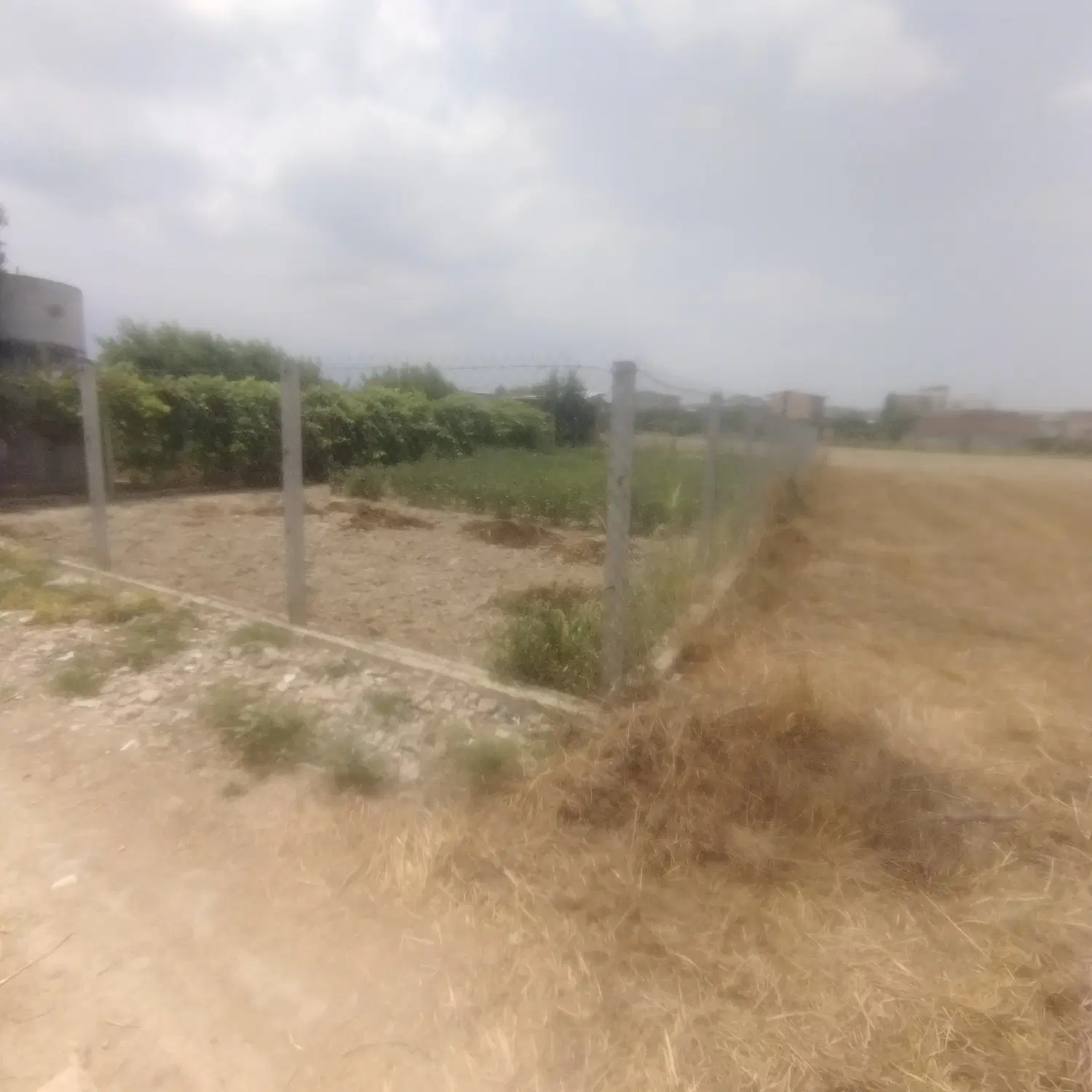 زمین کشاورزی