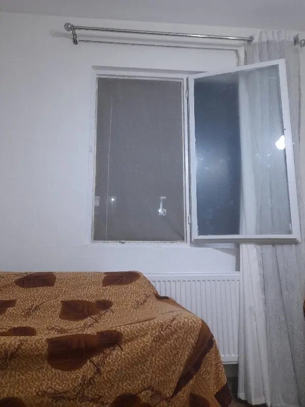 هم خانه میشم