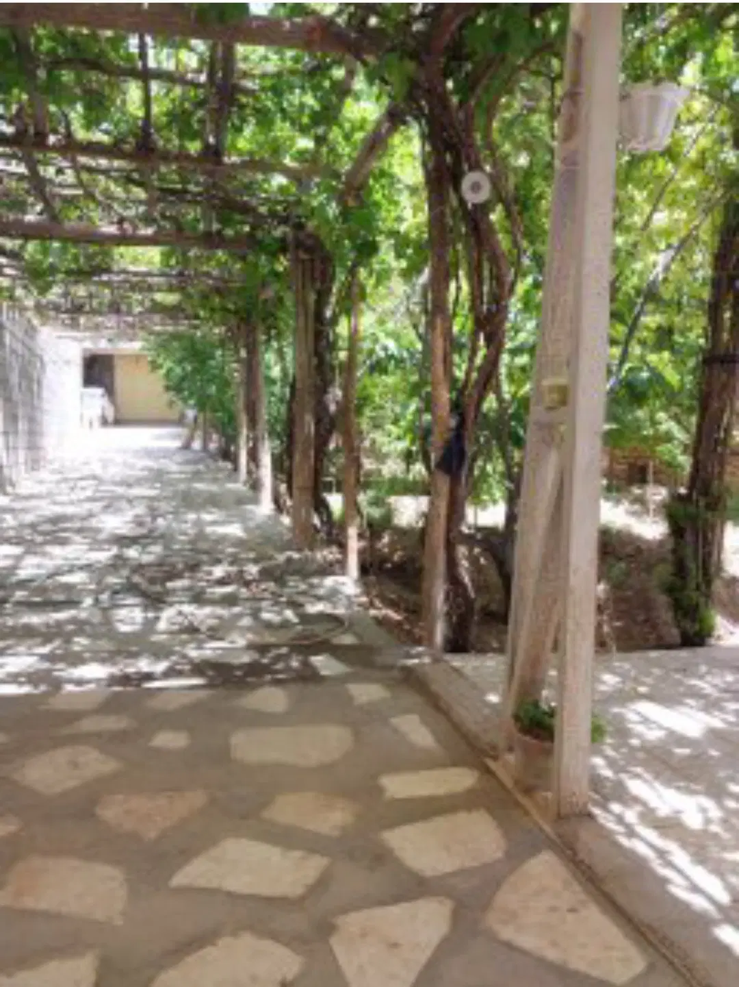 خانه باغ