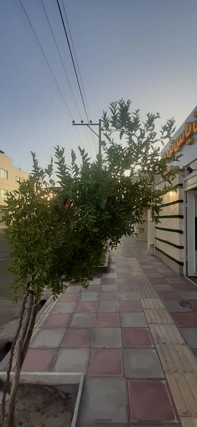 ویلایی مشهد معاوضه بابیرجند
