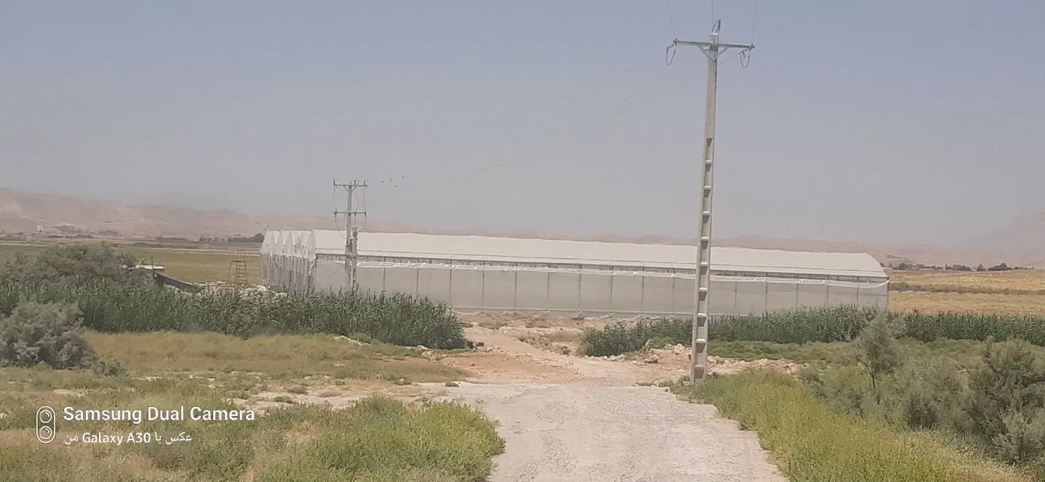 گلخانه هیدروپونیک