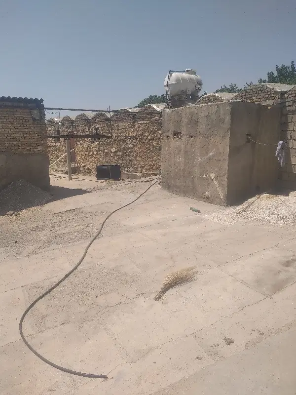 اجاره مرغداری گوشتی