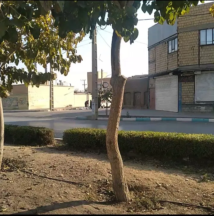 رهن واجاره زیرزمین صالح آباد