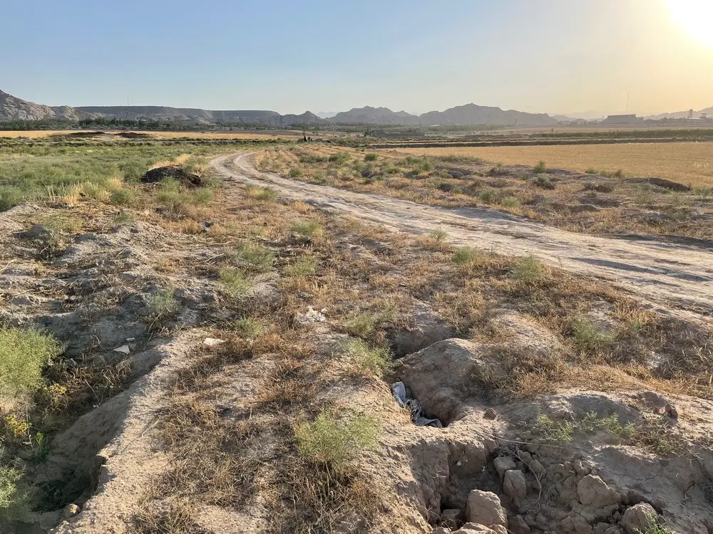 زمین کشاورزی و باغی