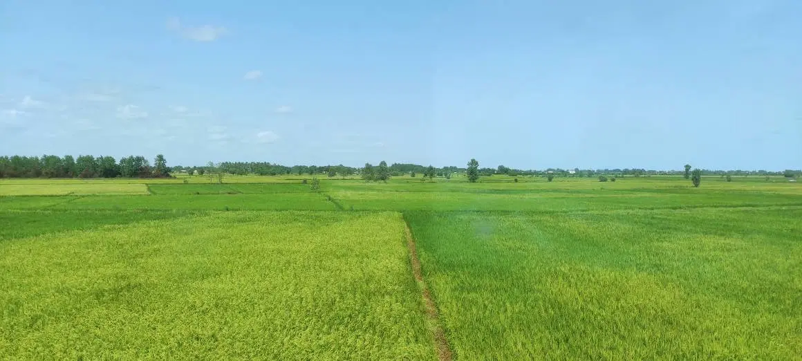 فروش زمین مسکونی