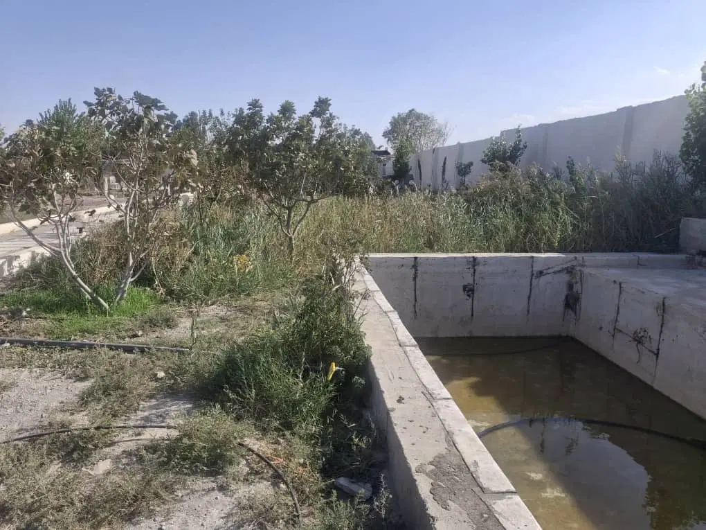 باغچه چهاردیوار