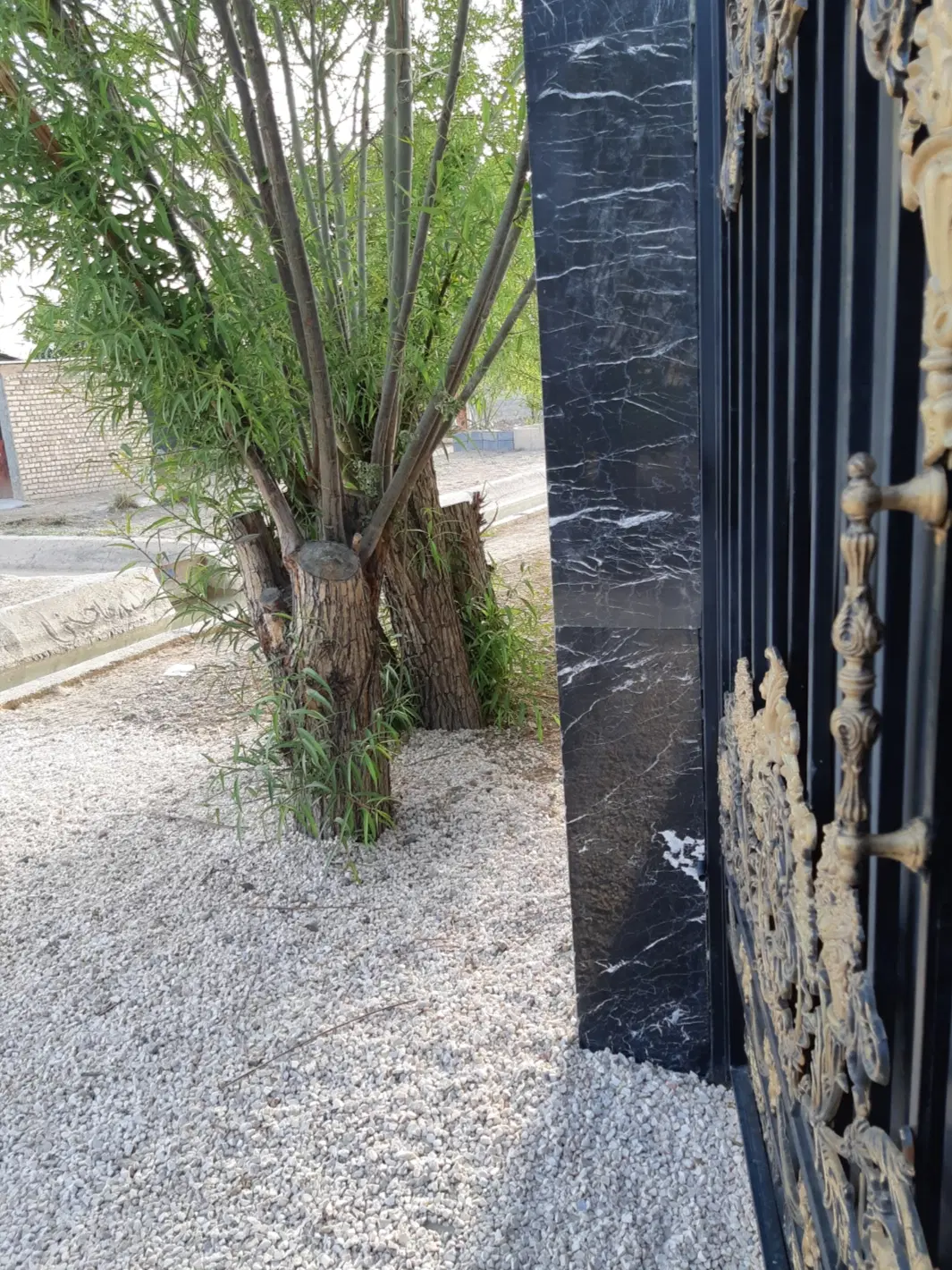 باغ ۱۰۰۰ متری  قابل تفکیک ۵۰۰ تائی