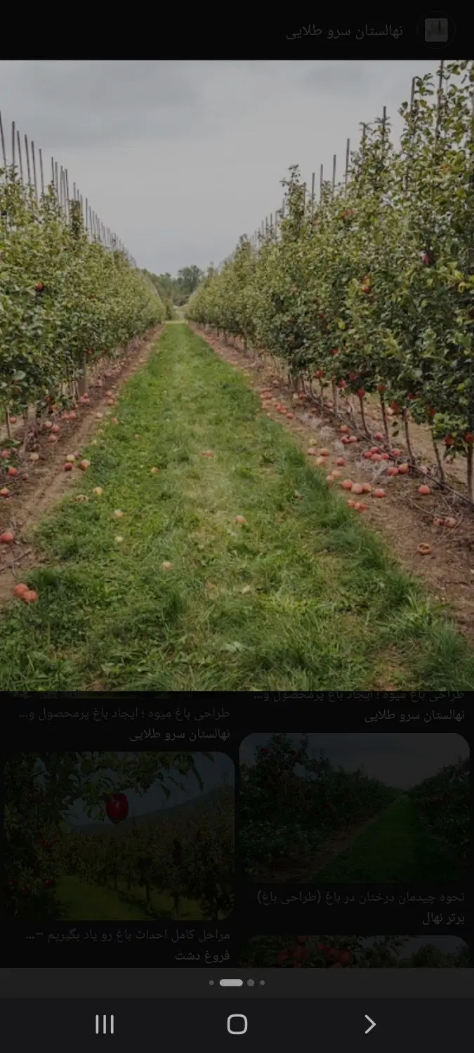 زمین مناسب خانه باغ به متراژ ۱۰۰۰متر