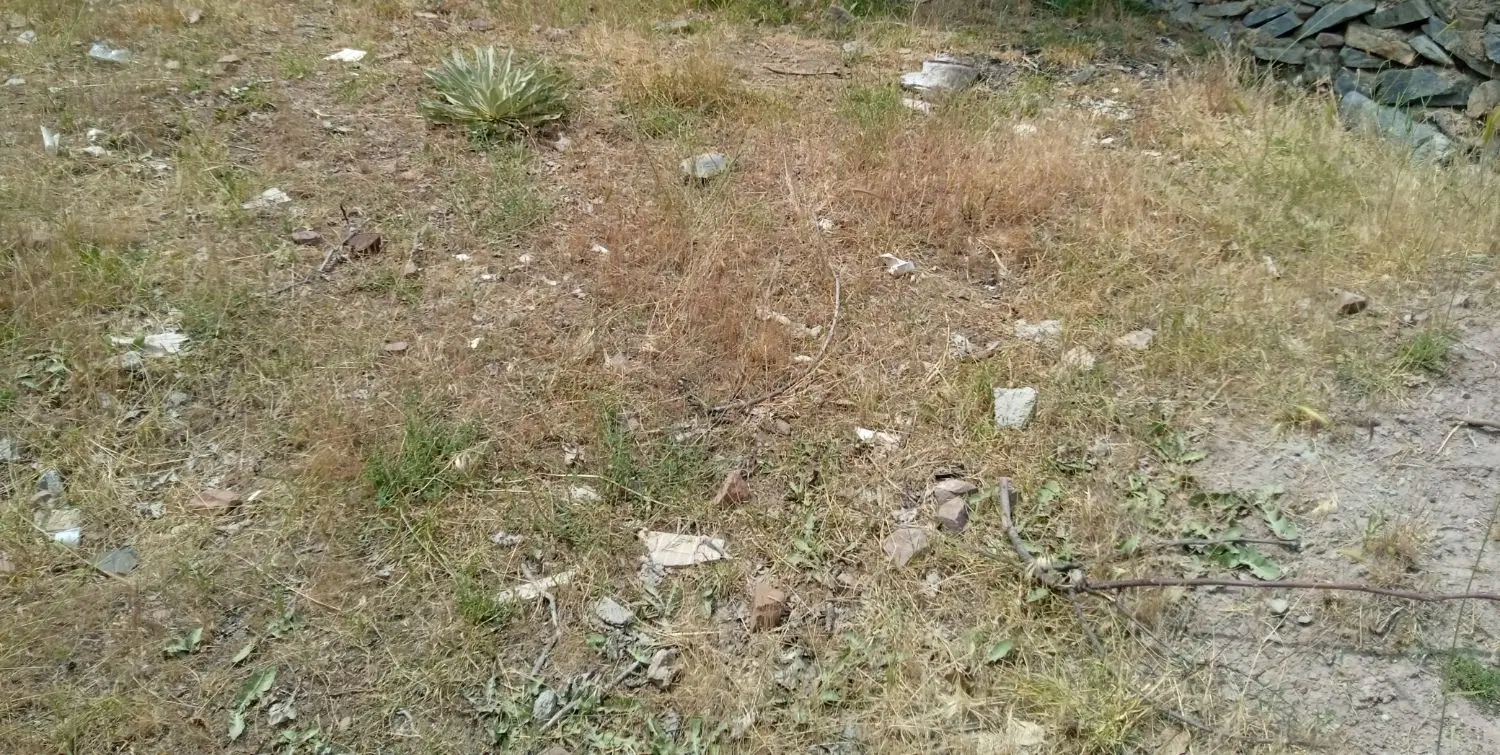 زمین مسکونی