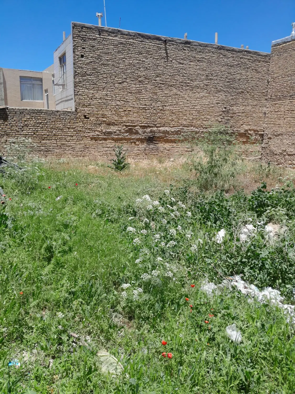 فروش زمین مسکونی سند تک برگ شهرک فرهنگیان