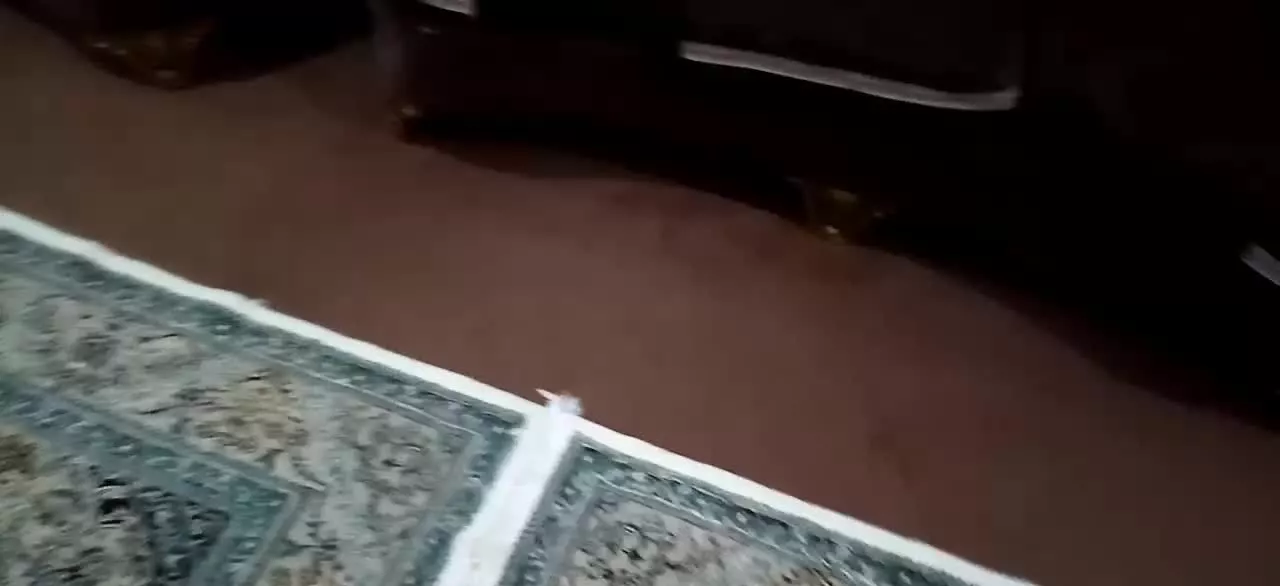 آپارتمان طبقه اول