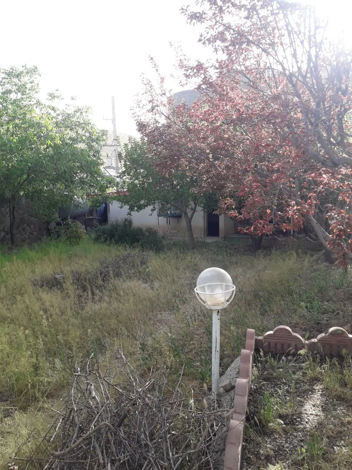 ۱ قطعه زمین باغی ۵۹۷۵ متر