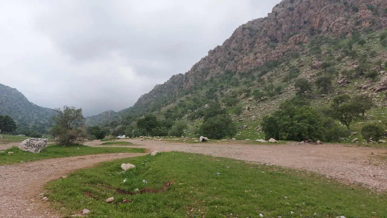 زمین کشاورزی با ۱۰۰متر بر جاده قلعه شور