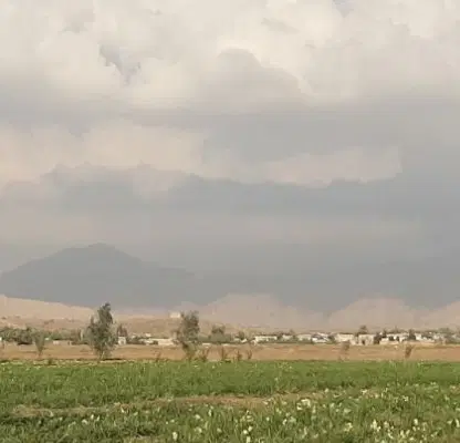 زمین