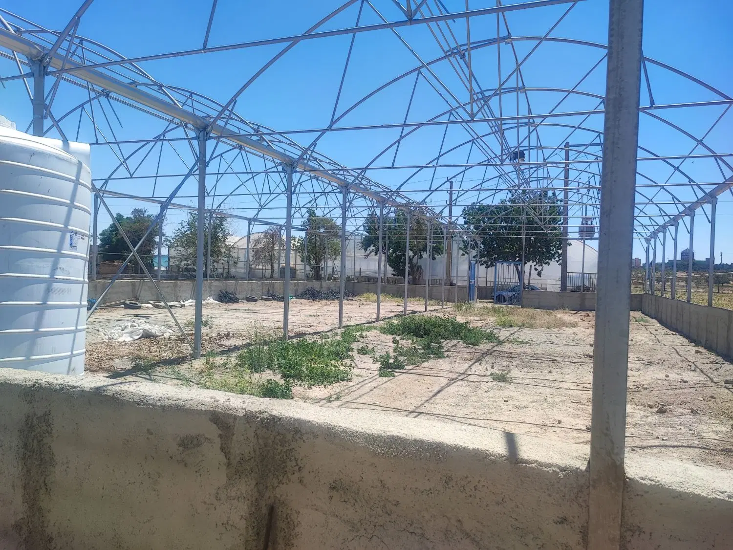 گلخانه