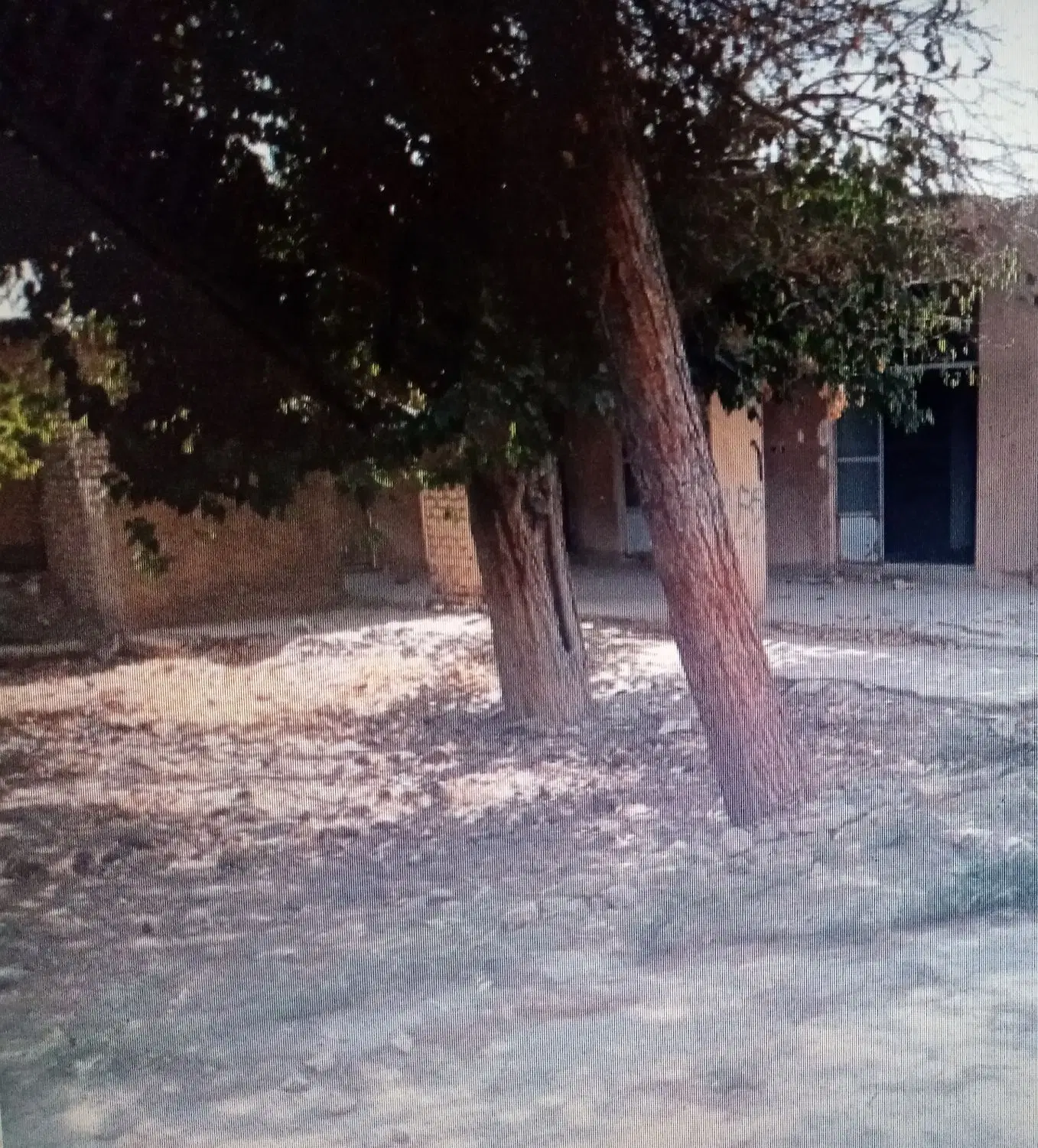 ۷۹۰ متر خانه روستایی ورامین