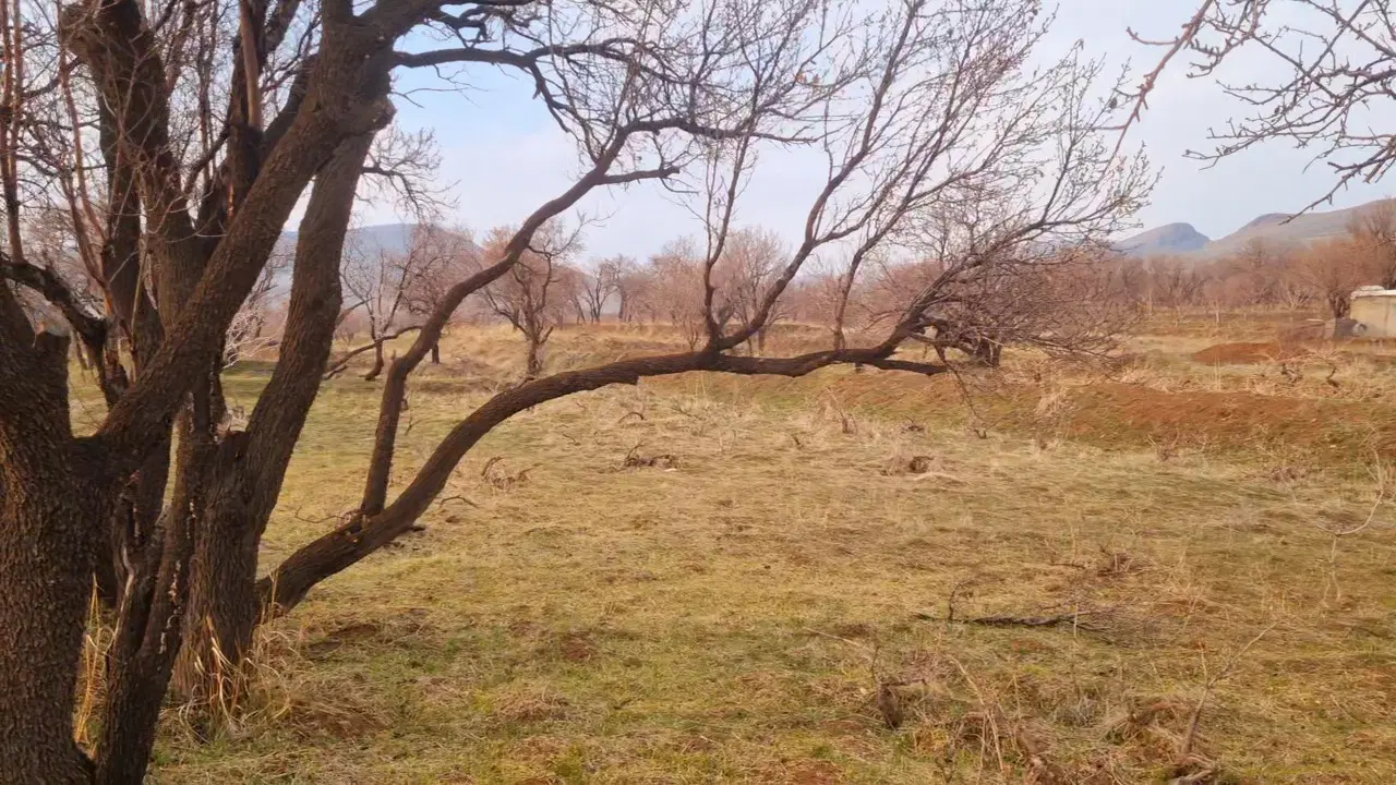 باغ سنتی ۸۹۰ متری همراه با سند تک برگ