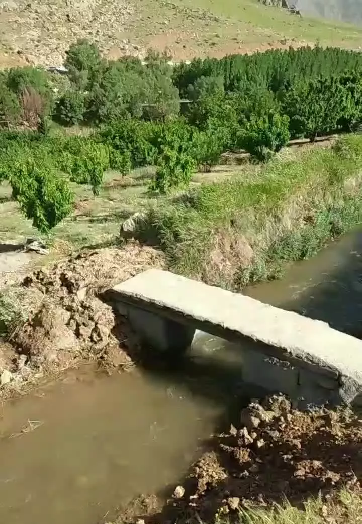 فروش باغ در سراب سیریجان صحنه