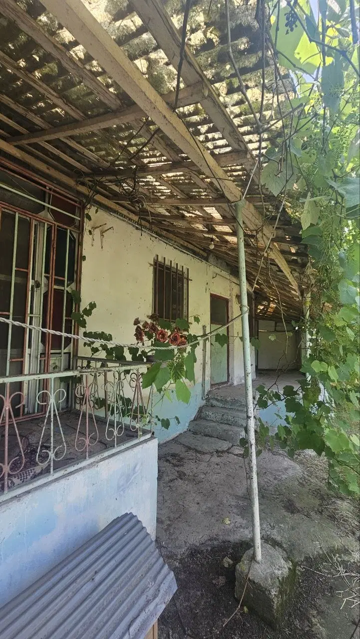 زمین مسکونی بازکیاگوراب