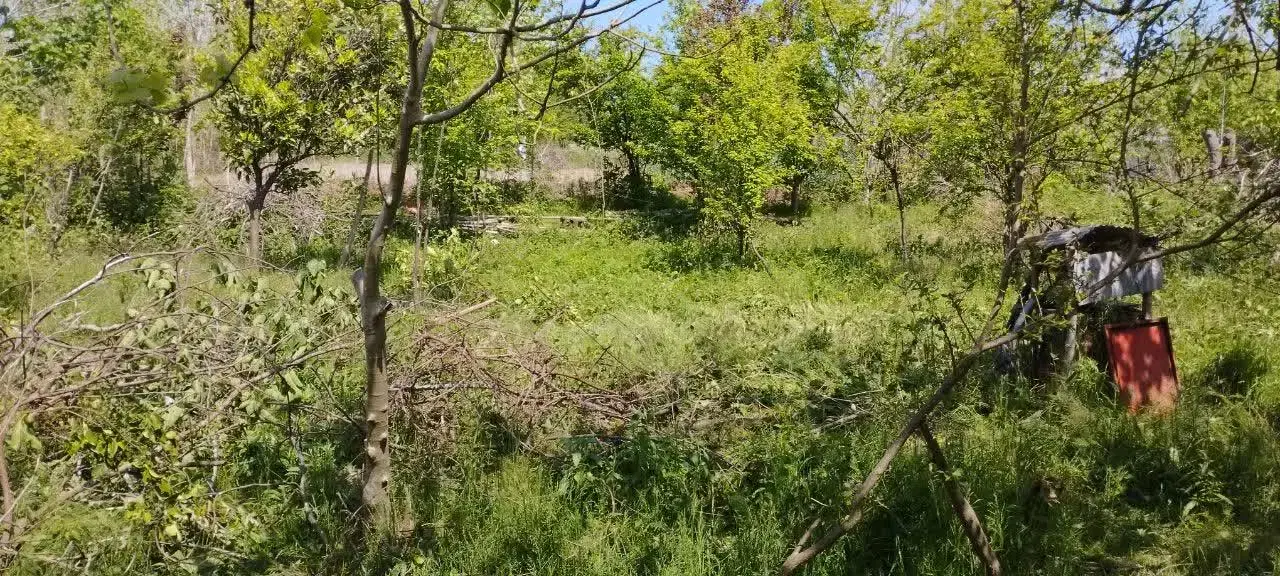 زمین مسکونی باویوی عالی درجیرهنده لشت نشا