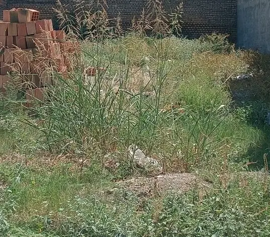 زمین مسکونی شهرک حافظ