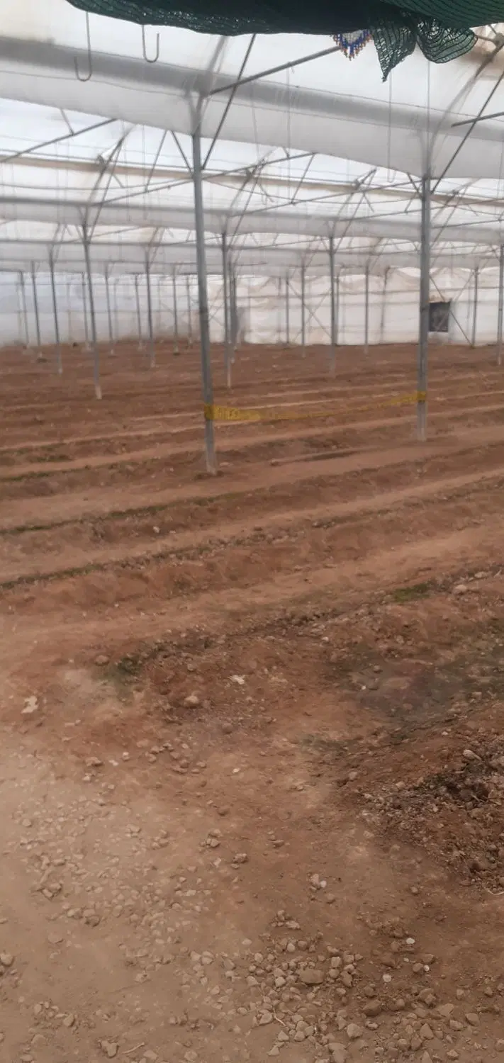 فروش گلخانه با بهترین موقعیت مکانی