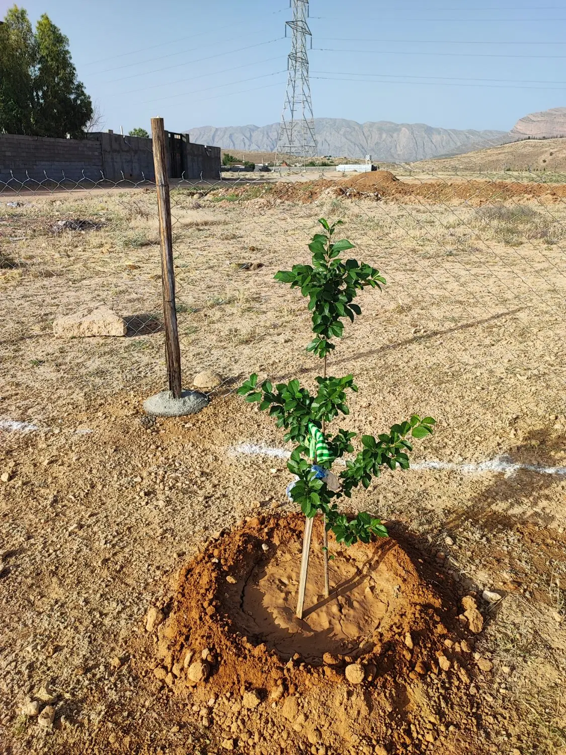 زمین باغشهری ۱۰۵۰ متر یاس دوکوهک