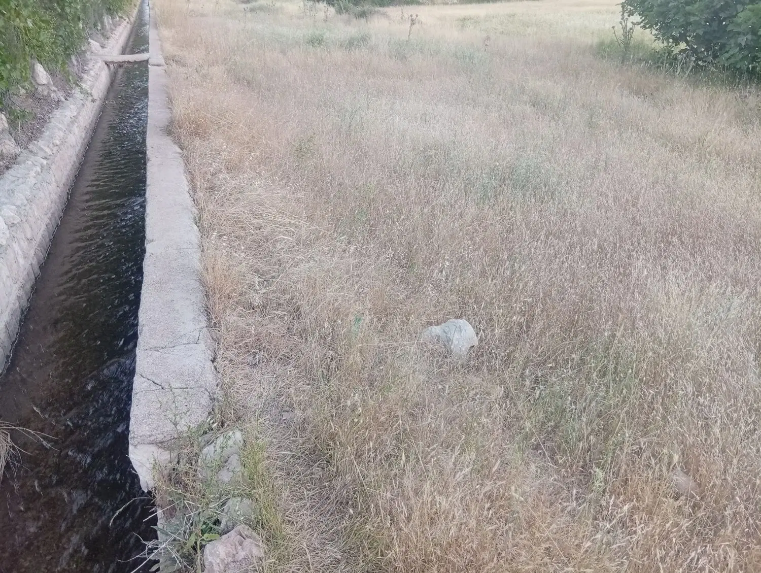 زمین کشاورزی