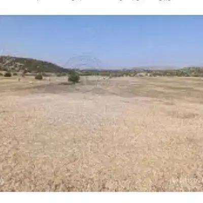 ۱۳.۵قصب بلوار بعثت کوچه ۲۳