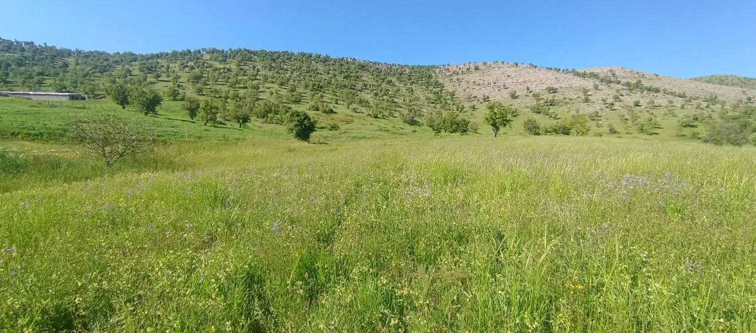 زمین مناسب خانه باغ