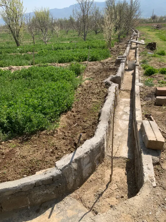 باغچه الوان و پسته