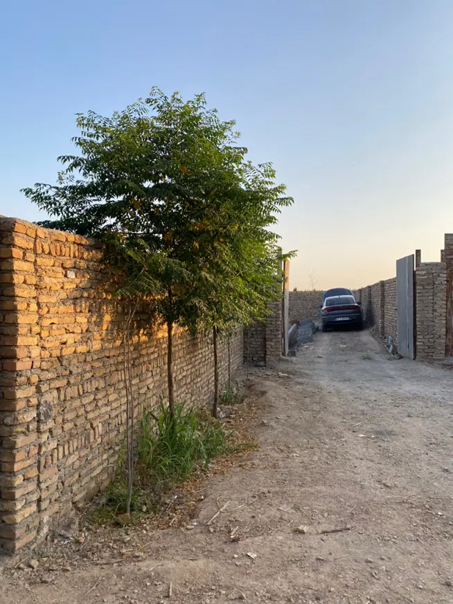 باغ و باغچه