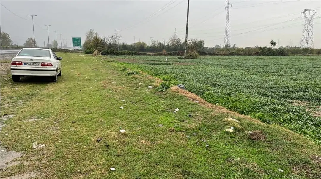 زمین زراعی کشاورزی