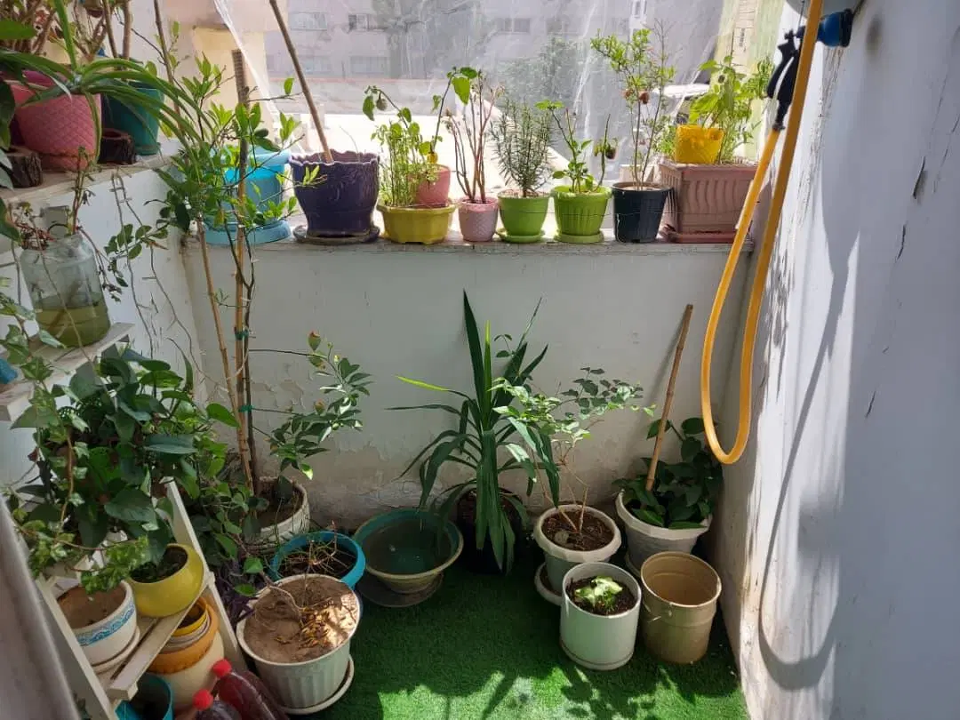 آپارتمان ۵۴ متری یکخوابه