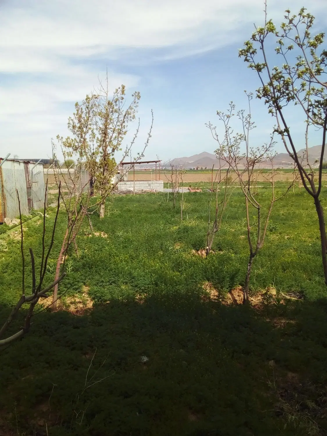 زمین محصور دوتو نزدیک شهر