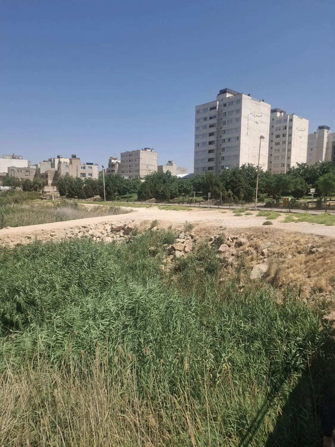 همخانه